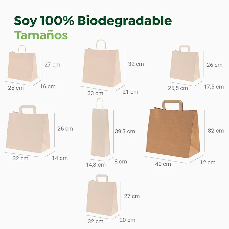 Bolsa Papel Kraft Asa Plana Grande