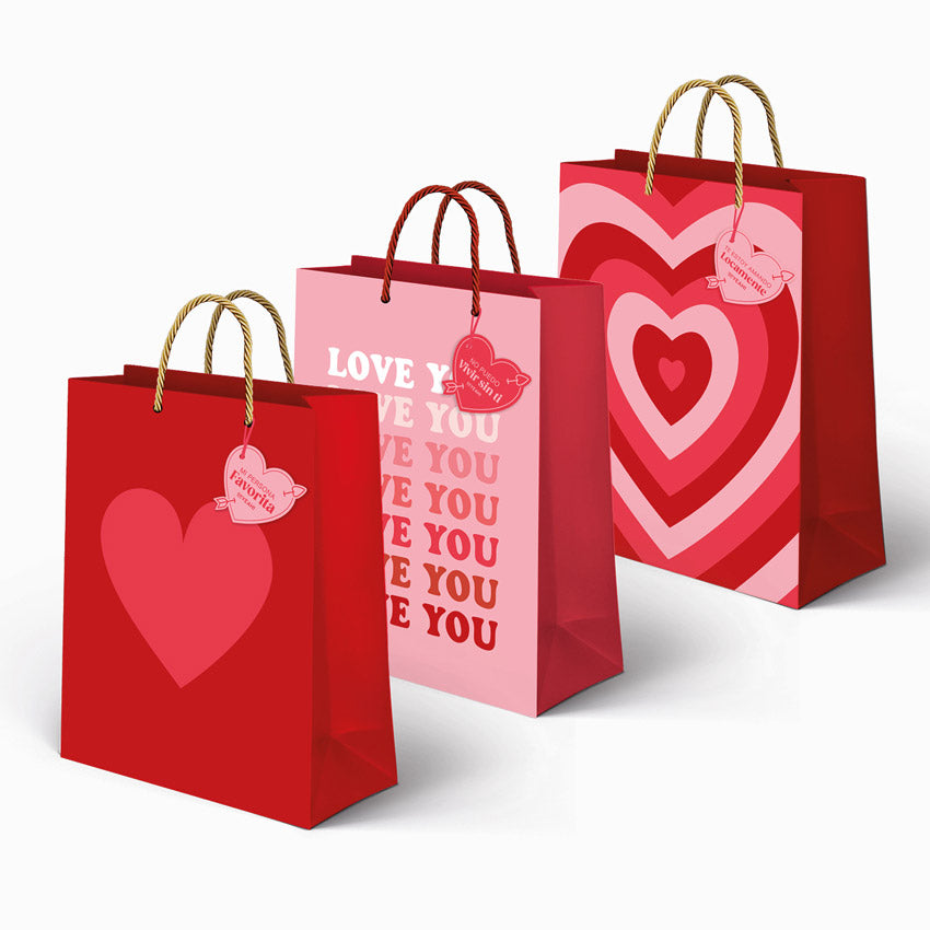 Bolsa Regalo San Valentín Mediana Corazones