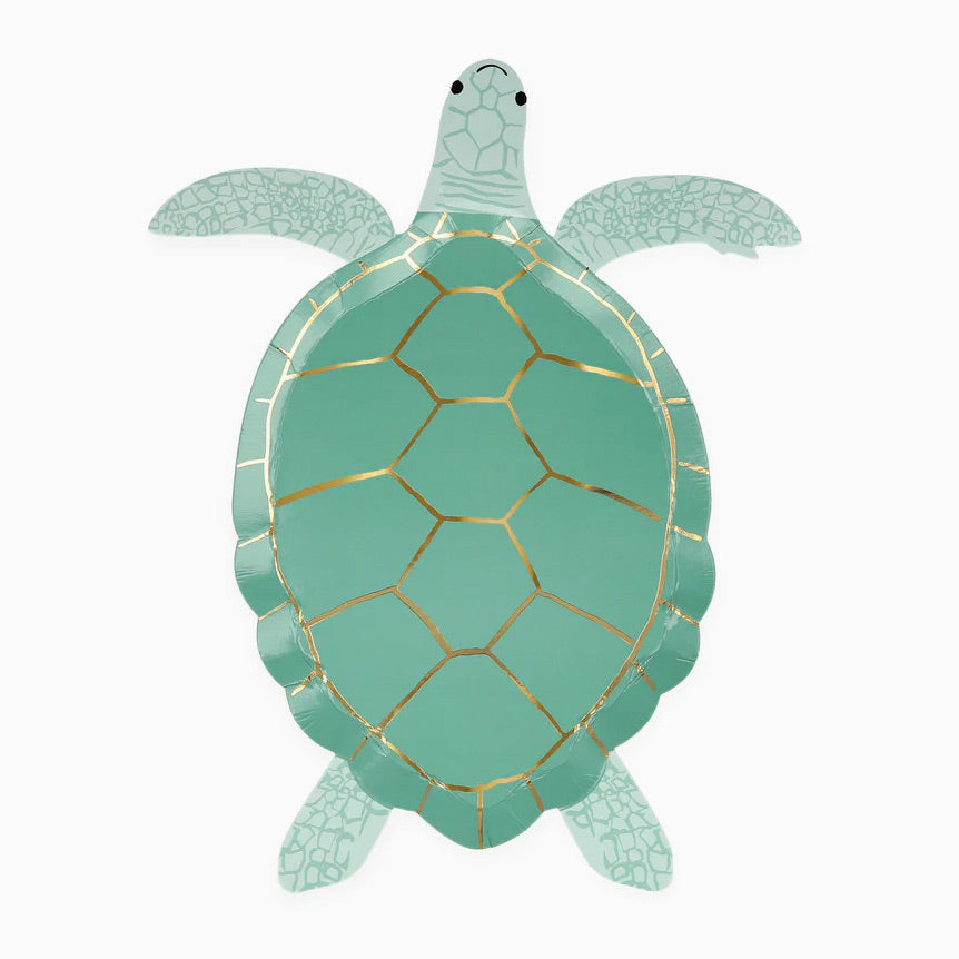 Plaque en carton de tortue verte