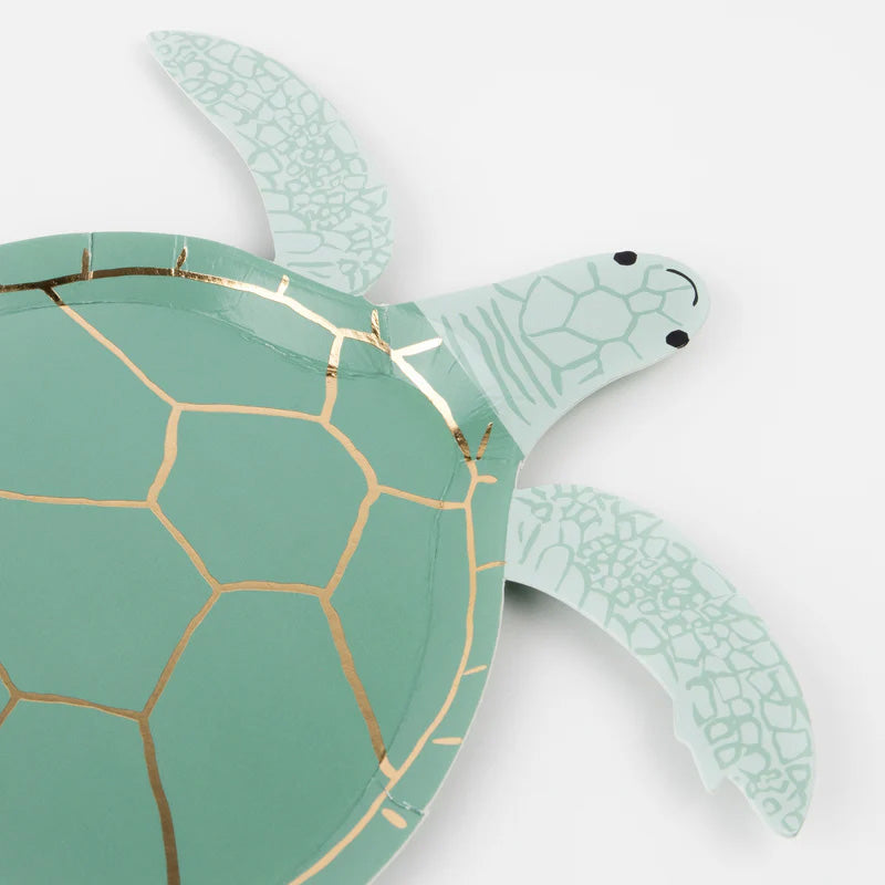 Plaque en carton de tortue verte