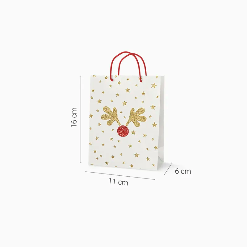 NCI Rene Christmas Bag