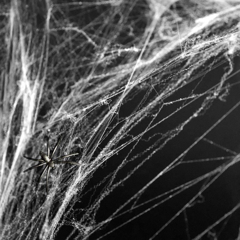 Telaraña de Halloween Blanco