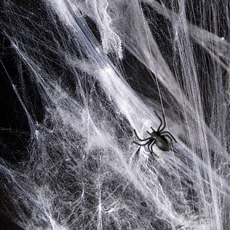 Cobweb White Halloween