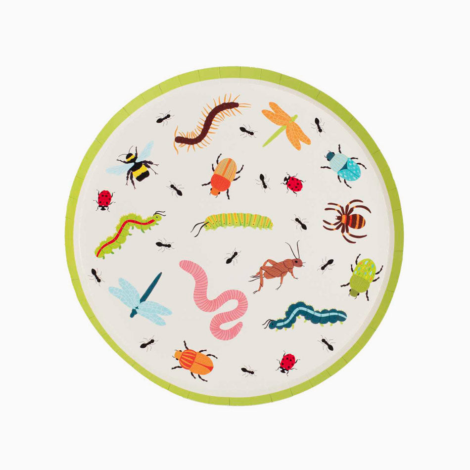 Round plain cardboard dish insects