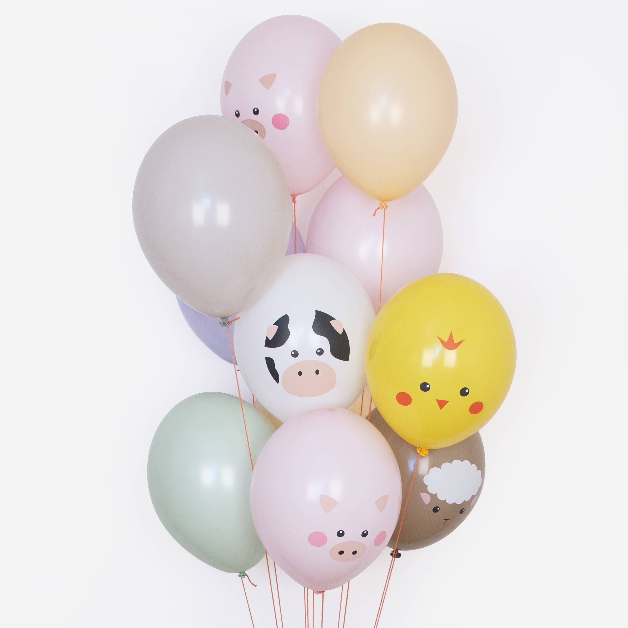 Set Globos Granja Animales