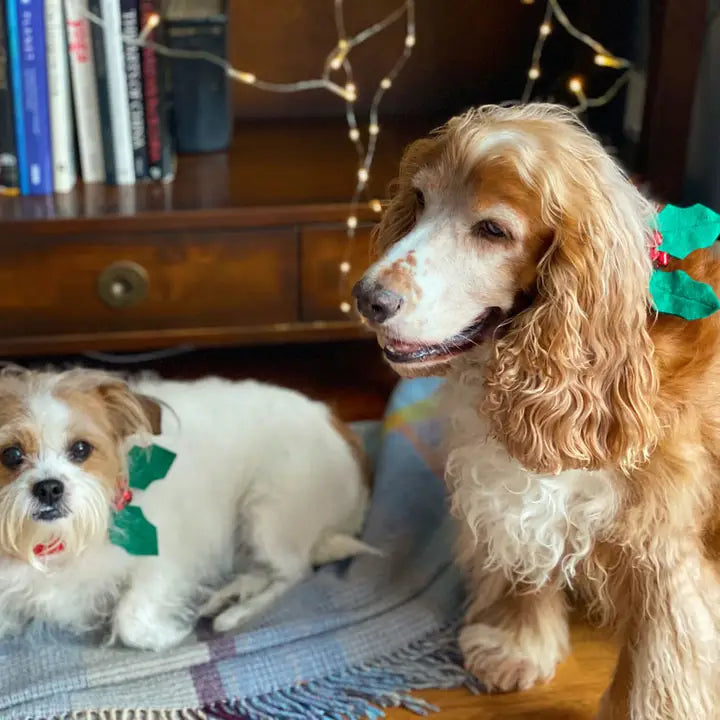 CHRISTMAS DOG COLLAR