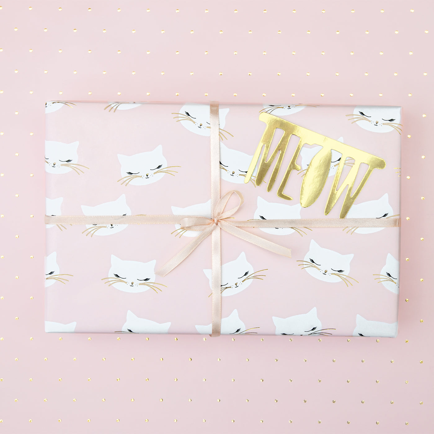 Roll Gatos Gift Paper