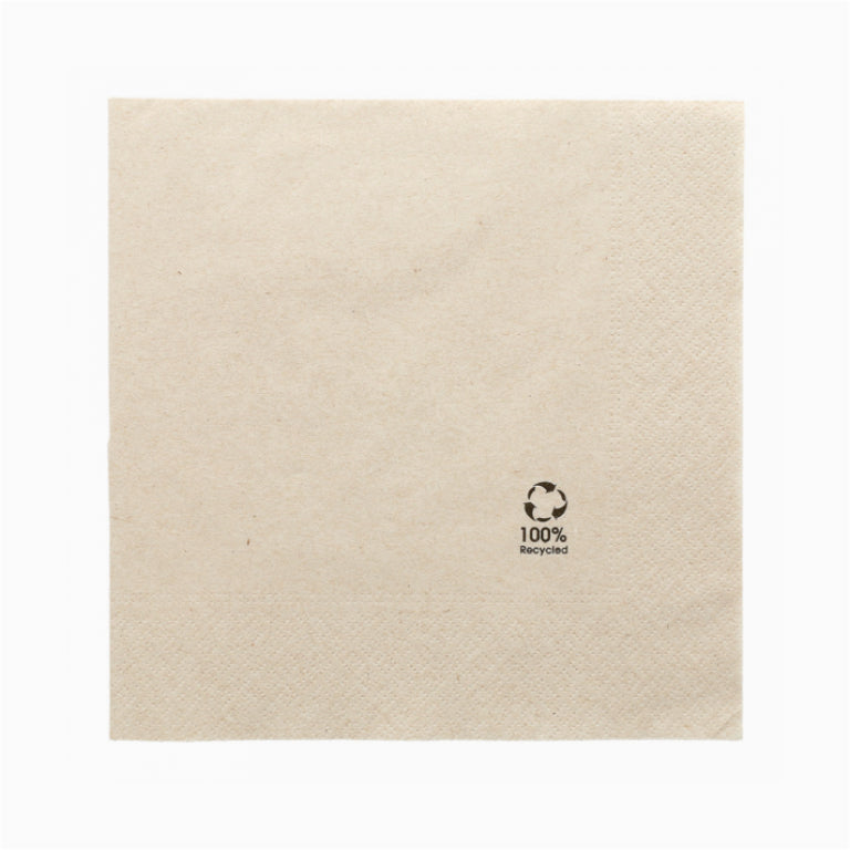 Double layer recycled paper napkins