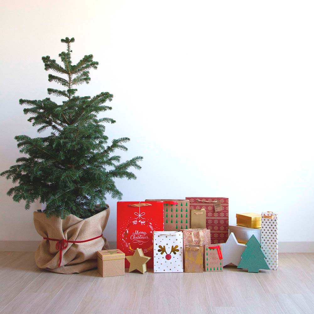 Set Cajas Regalo Navidad Forma Arbol Verde