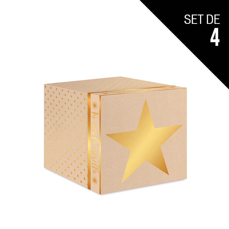 Set Boxes Christmas Star