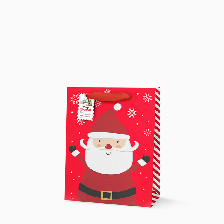 Santa Claus Median Christmas Bag