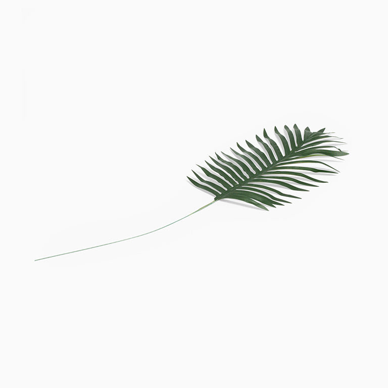 Palm tree leaf